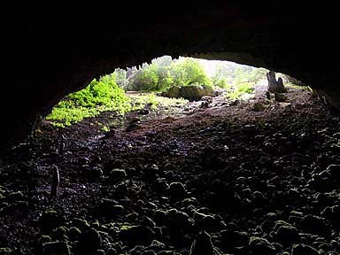 hebergeur image
