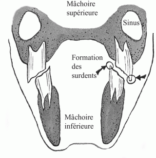 hebergeur image