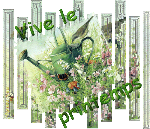 hebergeur image