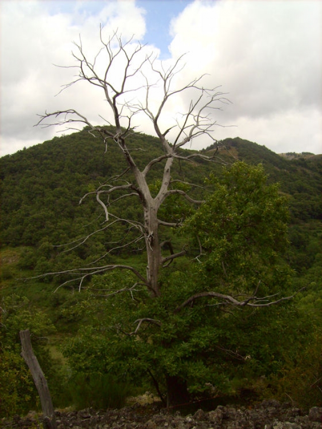 hebergeur image
