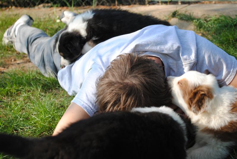 hebergeur image