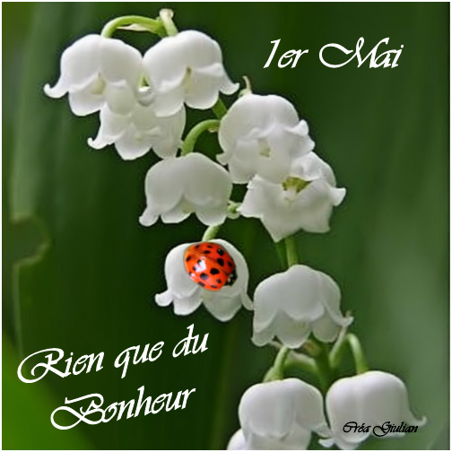 1.1er Mai 015