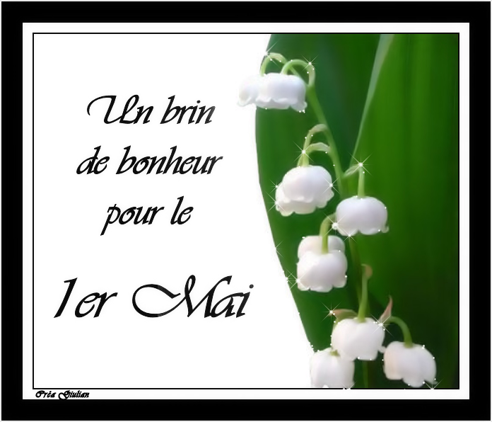 1.1er Mai 014