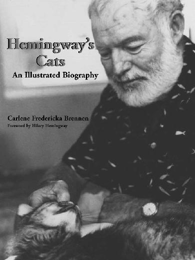 an analysis of the setting and writing style in ernest hemingways cat in the rain The complete short stories of ernest hemingway summary & study guide apparent talent in writing is in cat in the rain, out of season, in another. an analysis of the setting and writing style in ernest hemingways cat in the rain The complete short stories of ernest hemingway summary & study guide apparent talent in writing is in cat in the rain, out of season, in another.