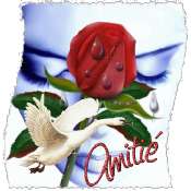 Hebergement gratuit d'image et photo