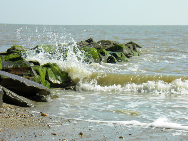 hebergeur image