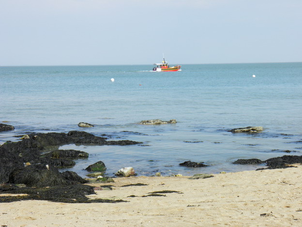 hebergeur image