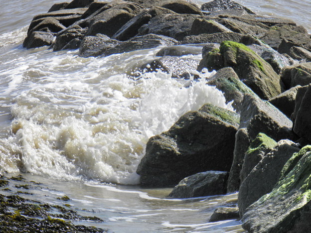 hebergeur image