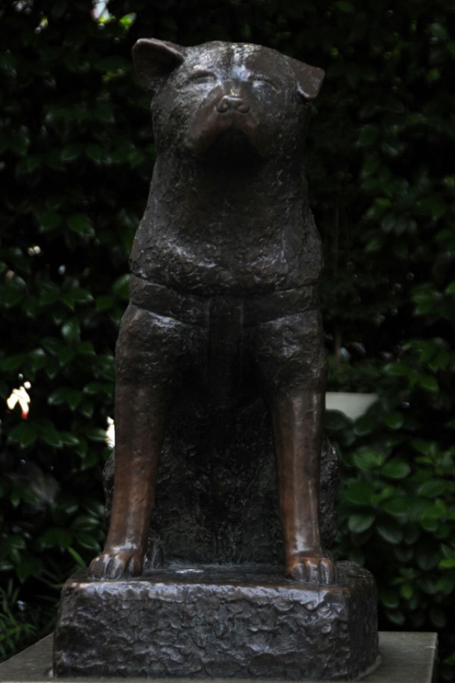 hebergeur image