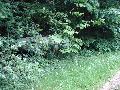 mini_11050709322845868119067.jpg
