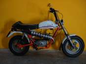 Fantic