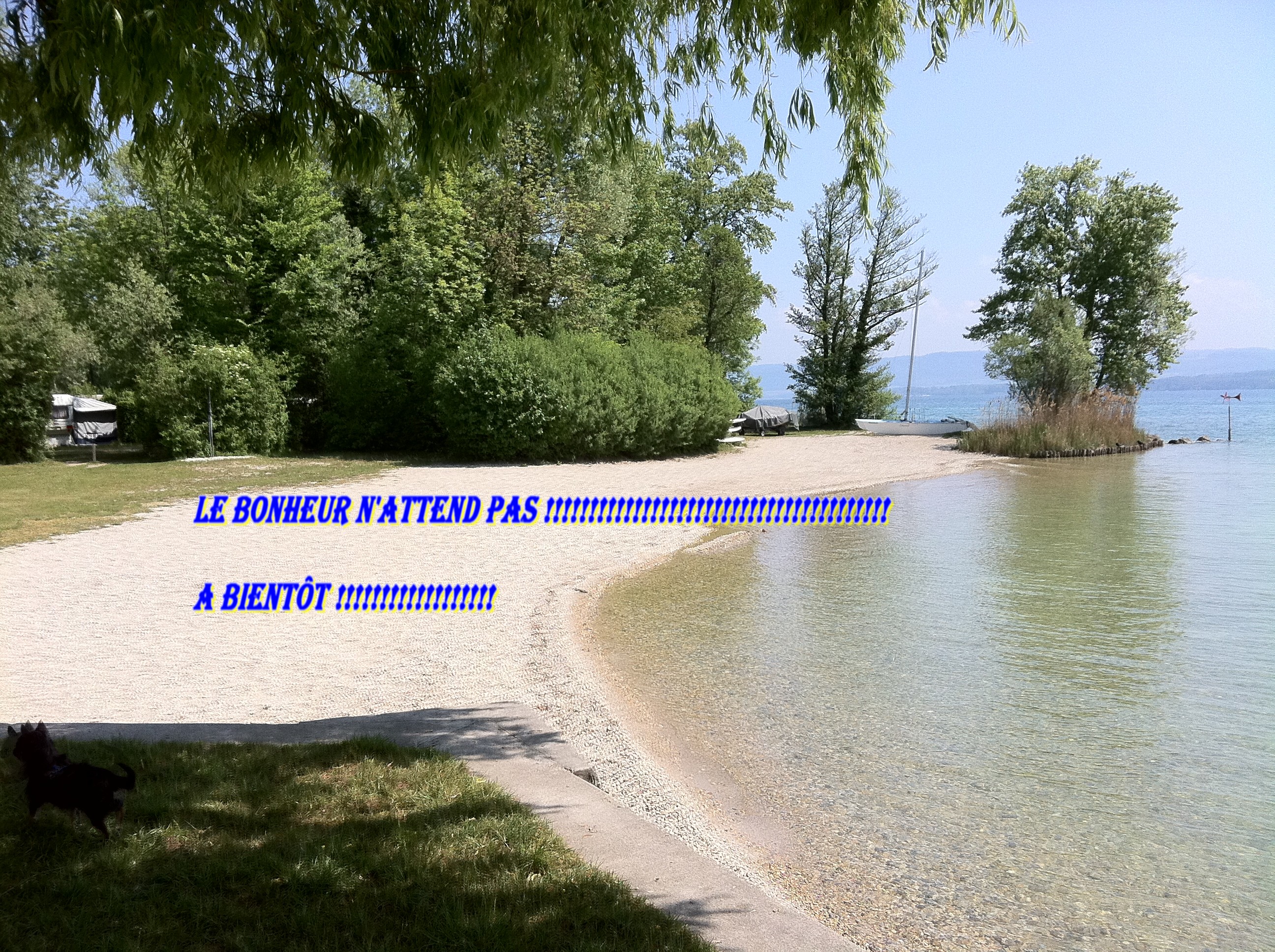 voir l'image en taille réelle