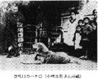 hebergeur image
