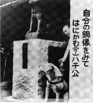 hebergeur image