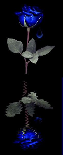 hebergeur image
