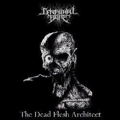 [Mu] CEREBRAL BORE DEMO 2006 THE DEAD FLESH ARCHITECT