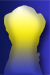 canari