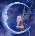 lune-et-elfe