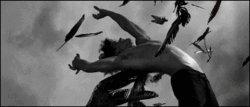http://nsm05.casimages.com/img/2011/06/05//1106051139471197038270365.gif