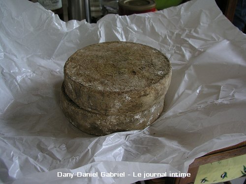 tome de gauges savoie fromage france
