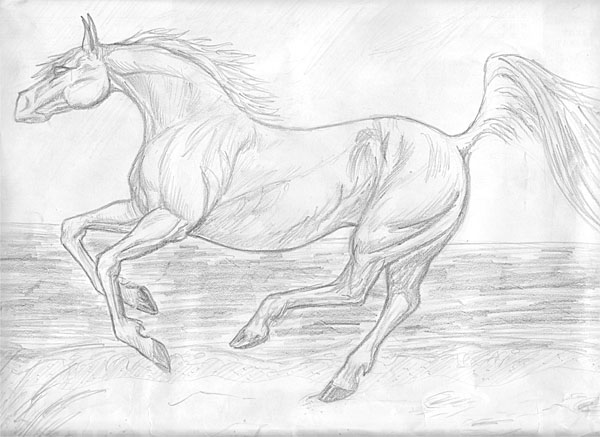 hebergeur image
