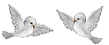 hebergeur image