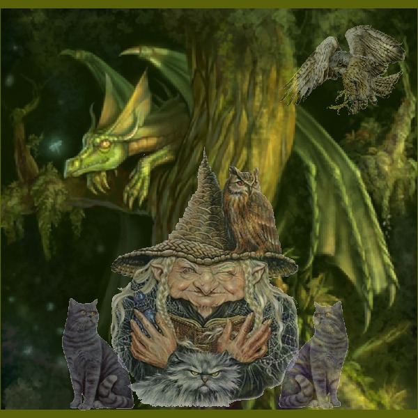 hebergeur image