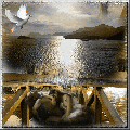 AMOUR1214