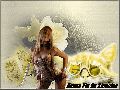 AMOUR1136