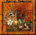 AMOUR1158