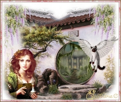 hebergeur image