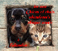 Hebergement gratuit d'image et photo