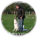 http://nsm05.casimages.com/img/2011/07/11/110711103147174808457942.png