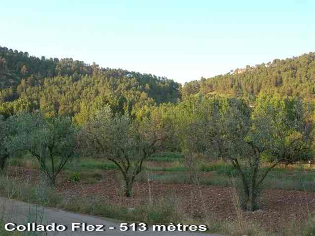 Agrandir l'image Collado Flez - ES-V- 513 mètres