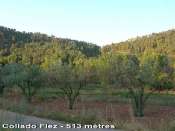 Collado Flez - ES-V- 513 m�tres