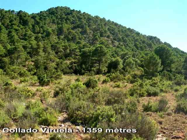 Agrandir l'image Collado Viruela - ES-MU- 1359 mètres
