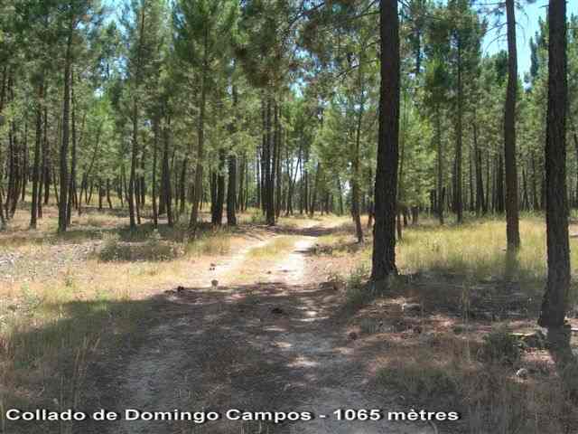 Collado de Domingo Campos - ES-CU- 1065 m�tres