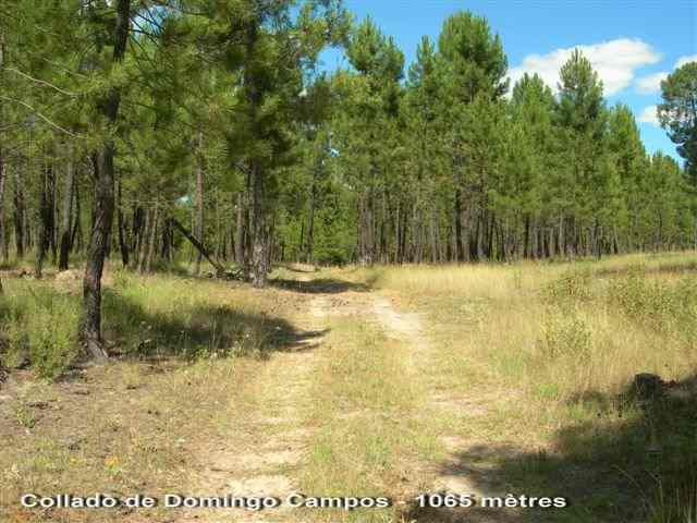 Agrandir l'image Collado de Domingo Campos - ES-CU- 1065 mètres