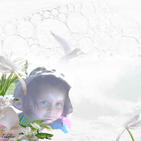 http://nsm05.casimages.com/img/2011/07/20//110720061658753548495259.jpg