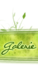 Galerie