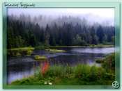VOSGES