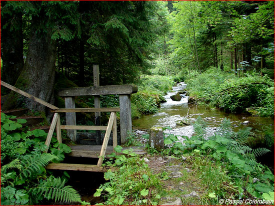 La Scierie du Lançoir, site patrimonial dans un écrin de verdure -  Gerardmer info