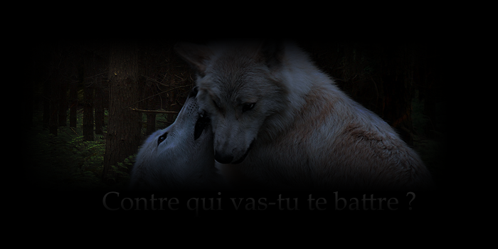 Qui est en ligne ?