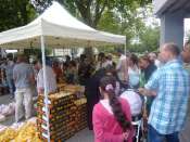 Hebergement gratuit d'image et photo