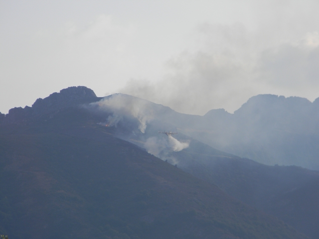 hebergeur image
