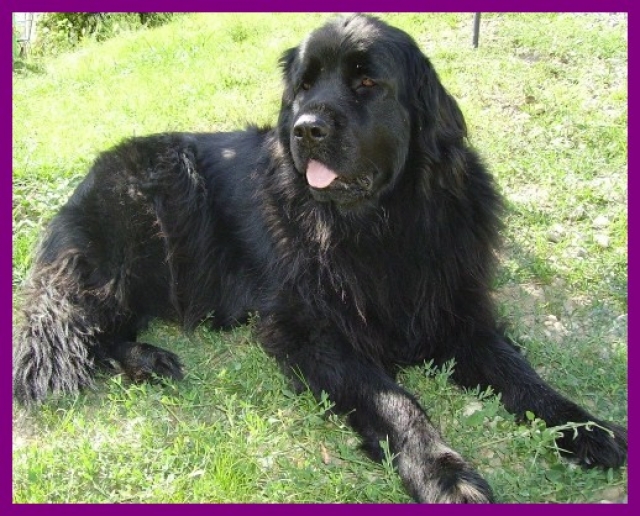 Bienvenue sur mon blog ! dans z) L'ARDECHE MOUN POI 110820043248673838614697
