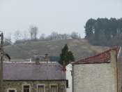 P1000087(1)