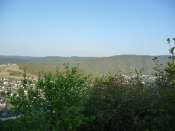 P1000291