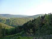 P1000298