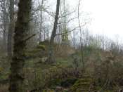 P1000145(1)